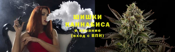 дурь Новодвинск