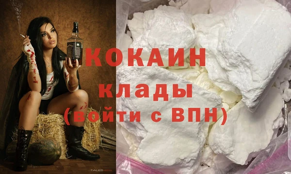 дурь Новодвинск