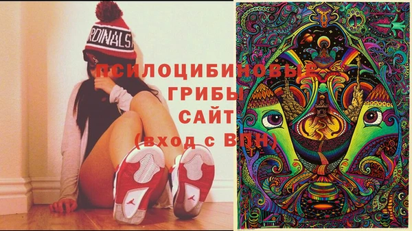 амф Новокубанск