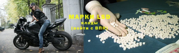 дурь Новодвинск