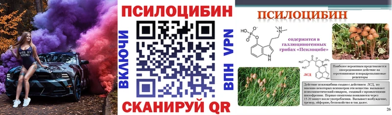 Псилоцибиновые грибы GOLDEN TEACHER где купить Сысерть